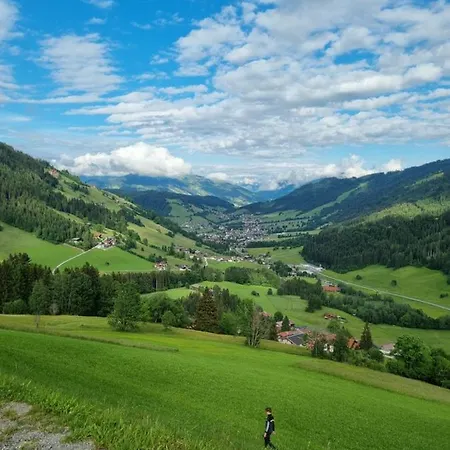 Appartement Kaiser Traum - Wildschoenau Premium Card In Summer